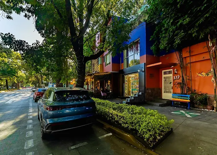 Oyo Casa Anzures México DF
